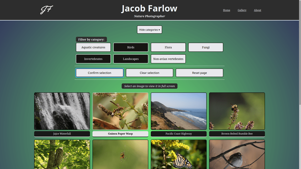 Gallery page, showing thumbnail images with their titles and an expanded category selector with 'Birds', 'Invertebrates', and 'Landscapes' selected