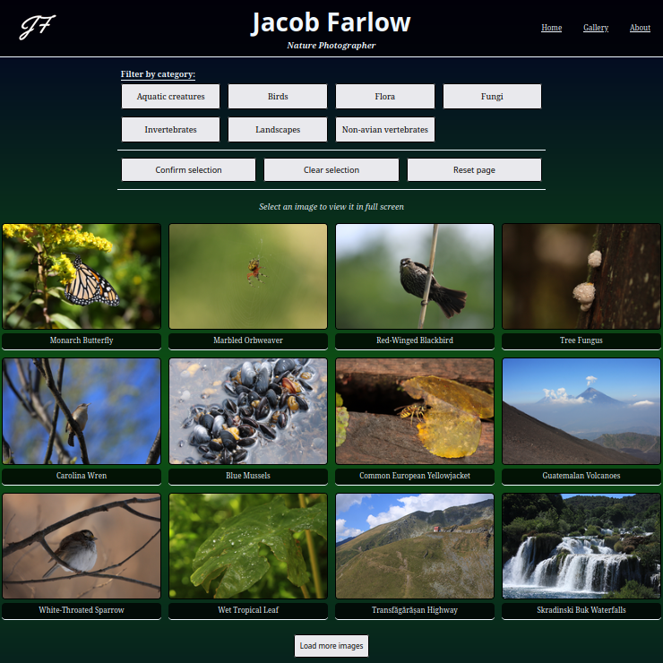 Screenshot of the website's gallery view